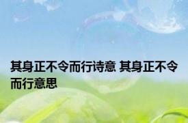 其身正不令而行诗意 其身正不令而行意思