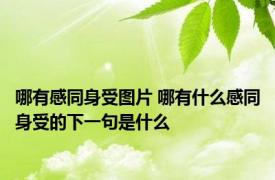 哪有感同身受图片 哪有什么感同身受的下一句是什么