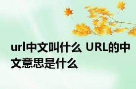 url中文叫什么 URL的中文意思是什么