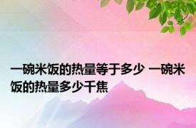 一碗米饭的热量等于多少 一碗米饭的热量多少千焦