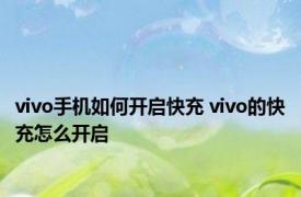 vivo手机如何开启快充 vivo的快充怎么开启