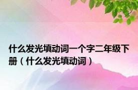 什么发光填动词一个字二年级下册（什么发光填动词）