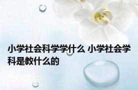 小学社会科学学什么 小学社会学科是教什么的