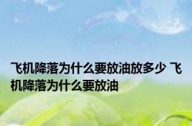 飞机降落为什么要放油放多少 飞机降落为什么要放油