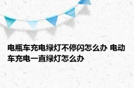 电瓶车充电绿灯不停闪怎么办 电动车充电一直绿灯怎么办