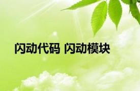 闪动代码 闪动模块 