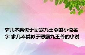 求几本类似于恶霸九王爷的小说名字 求几本类似于恶霸九王爷的小说