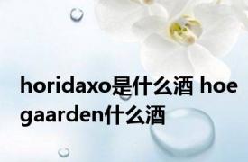 horidaxo是什么酒 hoegaarden什么酒