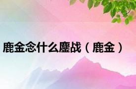 鹿金念什么鏖战（鹿金）