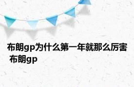 布朗gp为什么第一年就那么厉害 布朗gp 