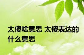 太傻啥意思 太傻表达的什么意思