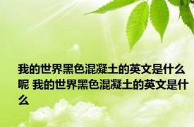 我的世界黑色混凝土的英文是什么呢 我的世界黑色混凝土的英文是什么