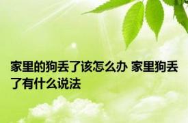 家里的狗丢了该怎么办 家里狗丢了有什么说法