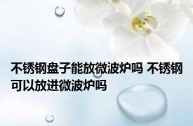 不锈钢盘子能放微波炉吗 不锈钢可以放进微波炉吗