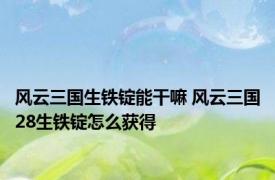 风云三国生铁锭能干嘛 风云三国28生铁锭怎么获得