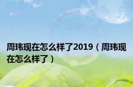 周玮现在怎么样了2019（周玮现在怎么样了）