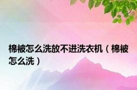 棉被怎么洗放不进洗衣机（棉被怎么洗）