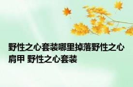 野性之心套装哪里掉落野性之心肩甲 野性之心套装 