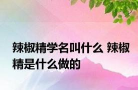 辣椒精学名叫什么 辣椒精是什么做的