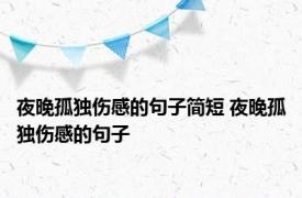 夜晚孤独伤感的句子简短 夜晚孤独伤感的句子