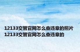 12133交管官网怎么查违章的照片 12133交管官网怎么查违章的