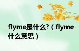 flyme是什么?（flyme什么意思）