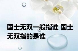 国士无双一般指谁 国士无双指的是谁