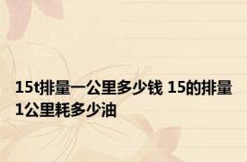 15t排量一公里多少钱 15的排量1公里耗多少油