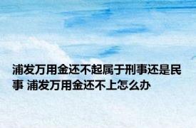 浦发万用金还不起属于刑事还是民事 浦发万用金还不上怎么办