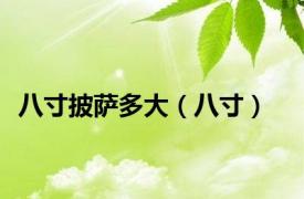 八寸披萨多大（八寸）