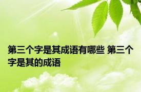 第三个字是其成语有哪些 第三个字是其的成语