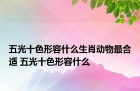 五光十色形容什么生肖动物最合适 五光十色形容什么