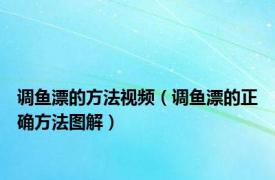 调鱼漂的方法视频（调鱼漂的正确方法图解）