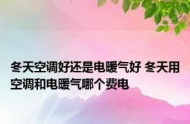 冬天空调好还是电暖气好 冬天用空调和电暖气哪个费电