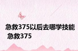 急救375以后去哪学技能 急救375 