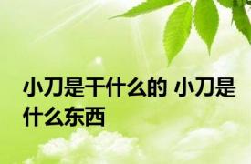 小刀是干什么的 小刀是什么东西