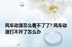 风车动漫怎么看不了了? 风车动漫打不开了怎么办