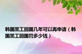 韩国黑工回国几年可以再申请（韩国黑工回国罚多少钱）