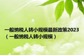 一般纳税人转小规模最新政策2023（一般纳税人转小规模）