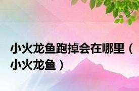 小火龙鱼跑掉会在哪里（小火龙鱼）