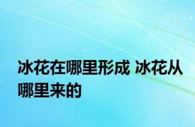 冰花在哪里形成 冰花从哪里来的