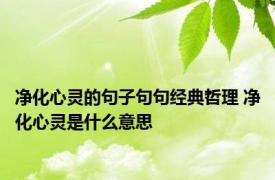 净化心灵的句子句句经典哲理 净化心灵是什么意思