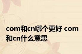 com和cn哪个更好 com和cn什么意思