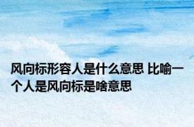 风向标形容人是什么意思 比喻一个人是风向标是啥意思