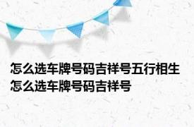 怎么选车牌号码吉祥号五行相生 怎么选车牌号码吉祥号