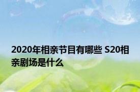 2020年相亲节目有哪些 S20相亲剧场是什么