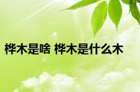 桦木是啥 桦木是什么木