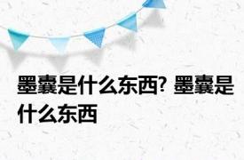 墨囊是什么东西? 墨囊是什么东西