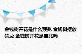 金钱树开花是什么预兆 金钱树摆放禁忌 金钱树开花是吉兆吗