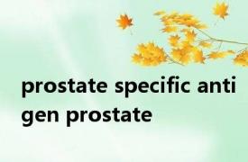 prostate specific antigen prostate 